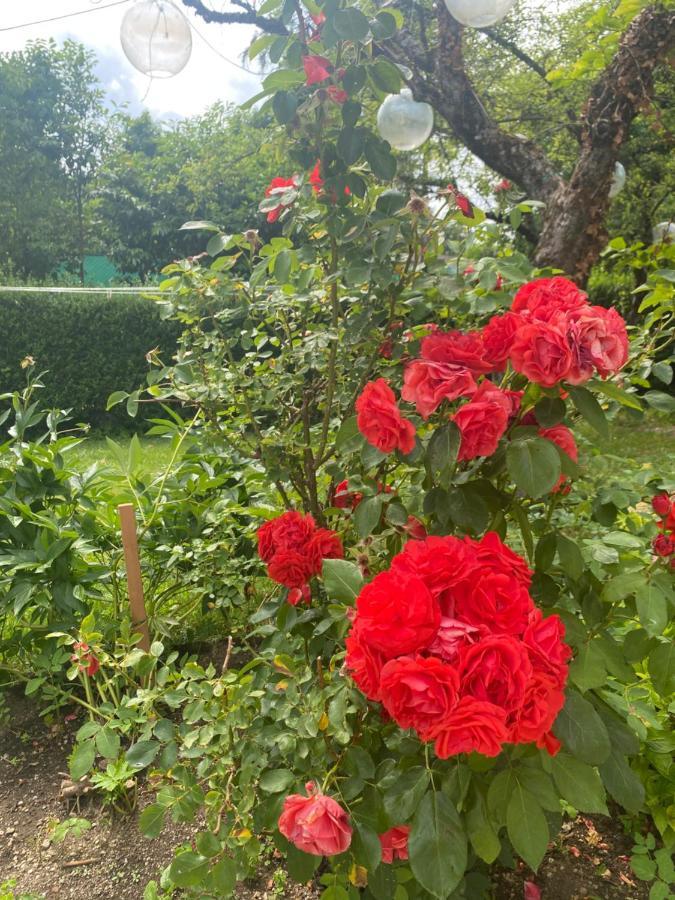 Garden Apartments ブレッド エクステリア 写真